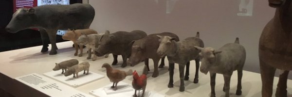 magpie_ms Profile Banner