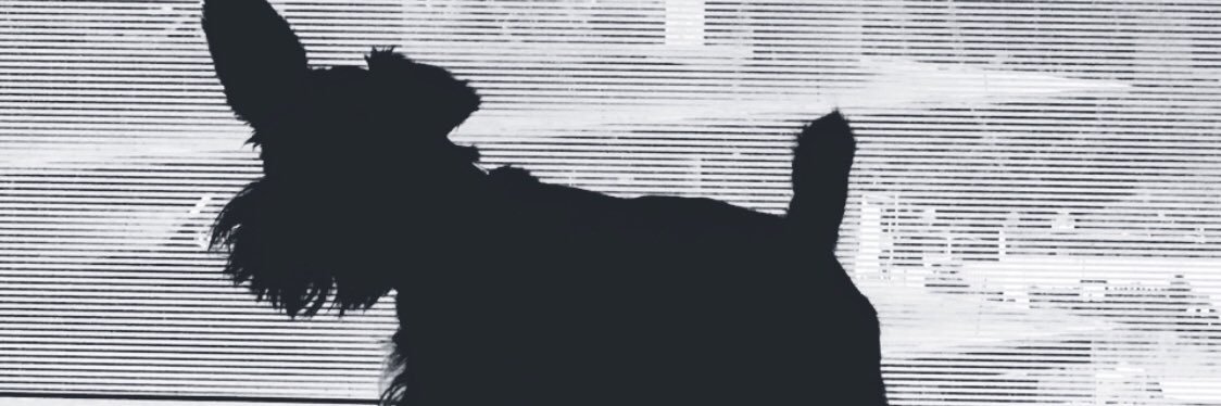 igrg13's profile banner image