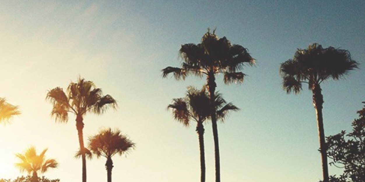 cmlgdr's profile banner image