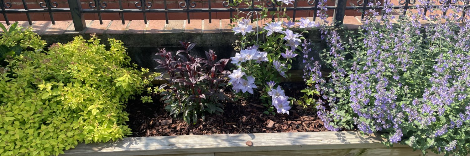 Dr. Kristin Sinclair | @ksinclair04.bsky.social banner