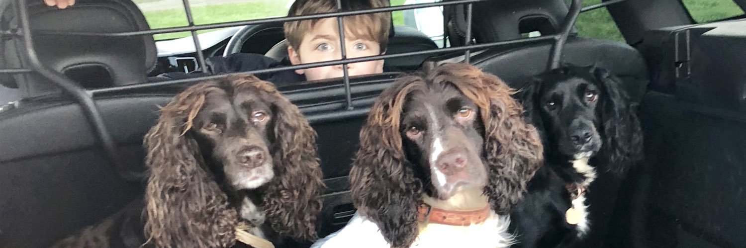 Cocolepooch's profile banner image