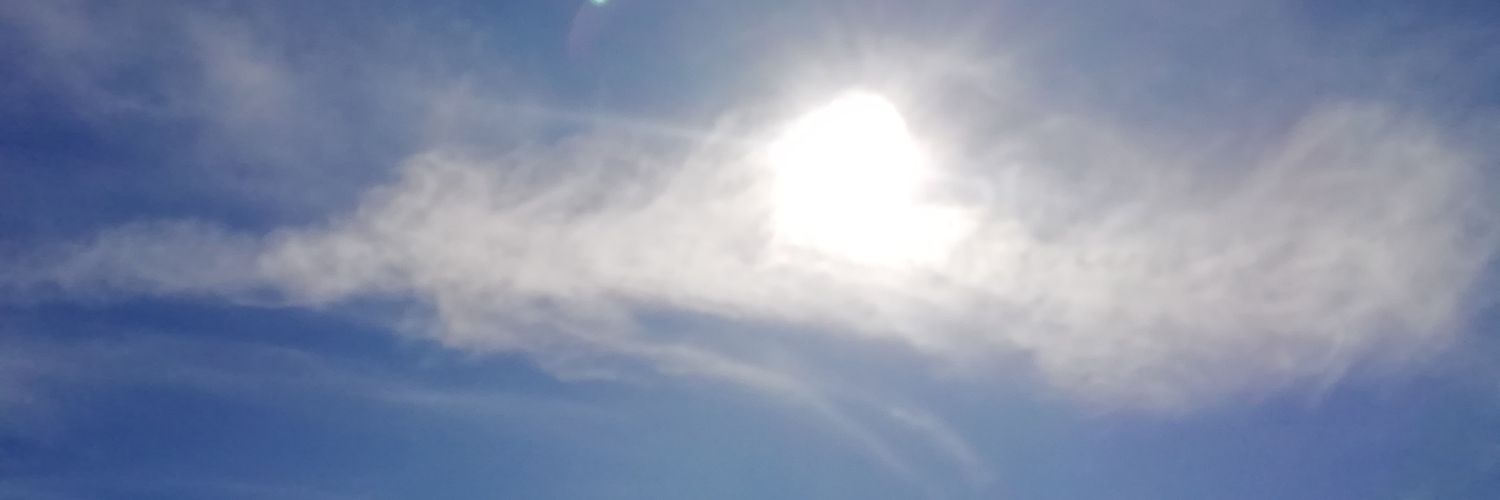 rosesaita's profile banner image