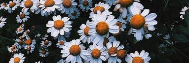 mfthj99's profile banner image