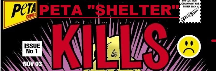 Jesusthe1anonly's profile banner image