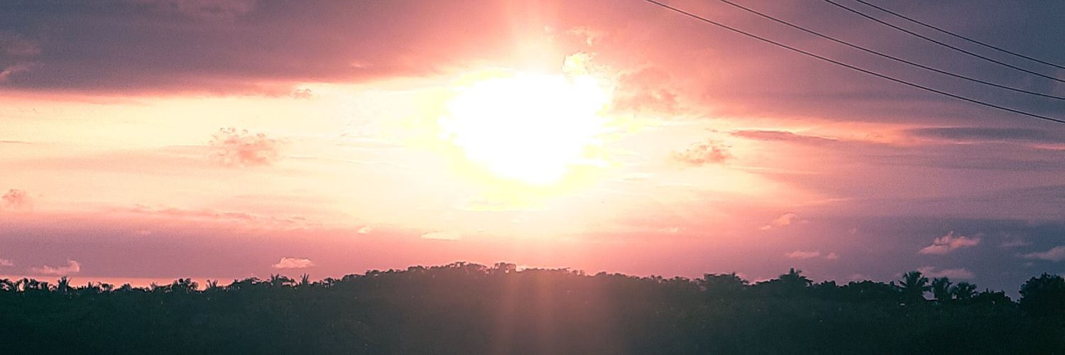drmntx's profile banner image