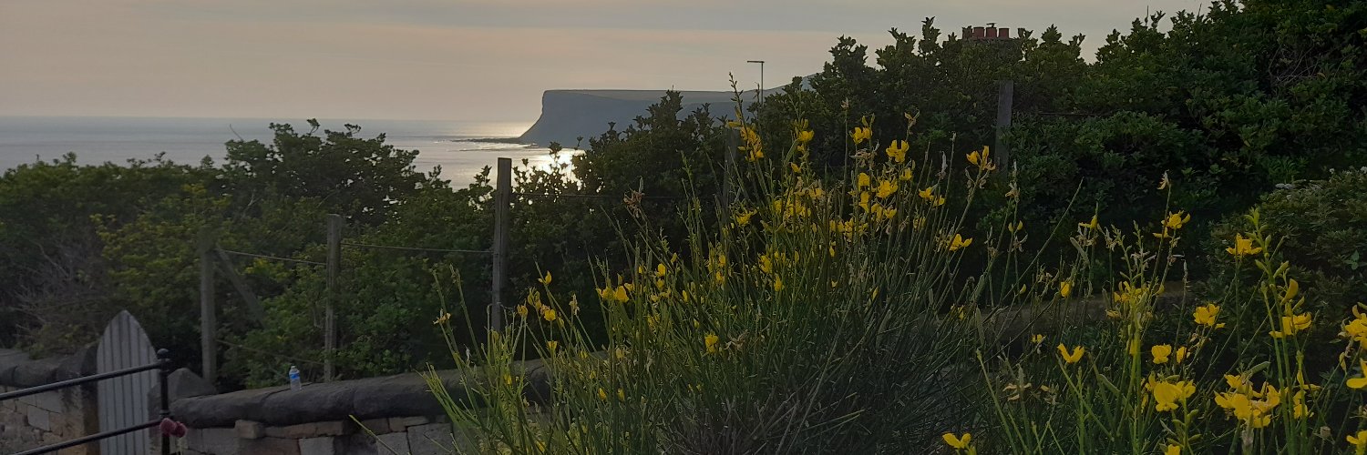 Now is the time of monsters banner