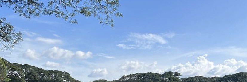 Jeddy Ur ✨ banner