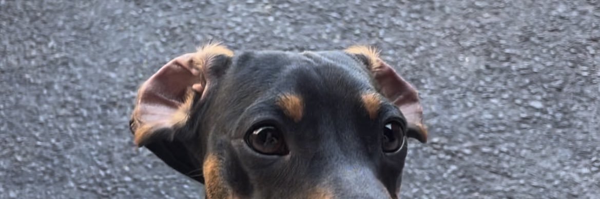 RobledoGuada's profile banner image