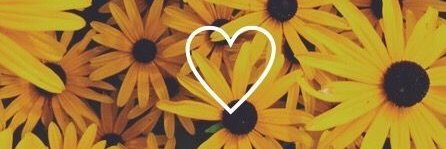 MichieGonzalez's profile banner image