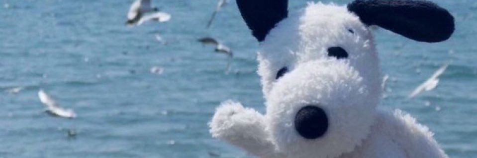 allycatk's profile banner image