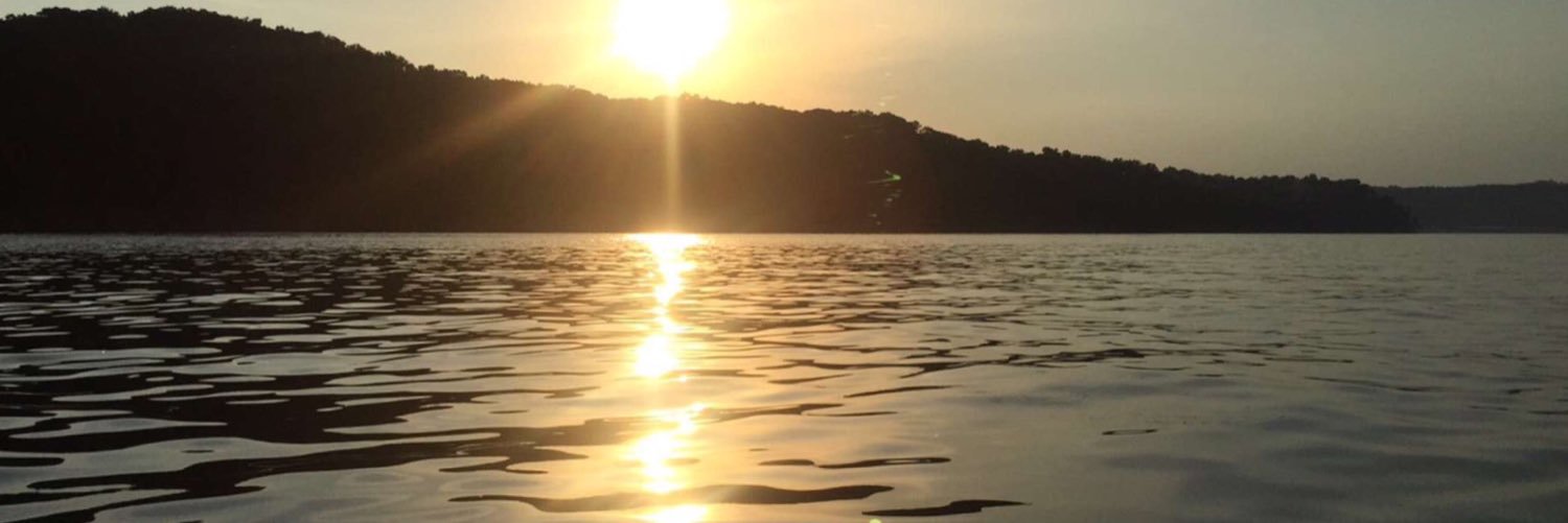 ssheperson's profile banner image