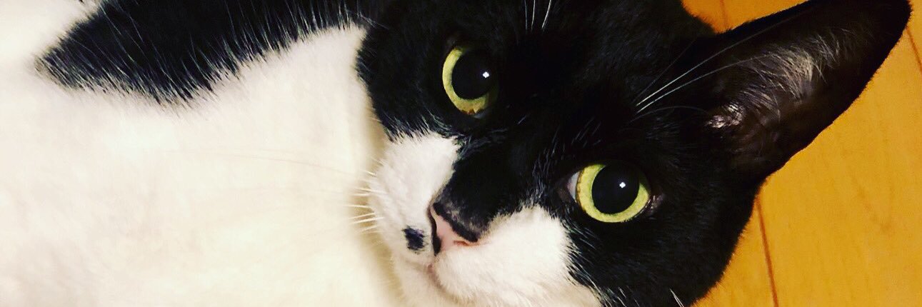 𝑀𝑒𝑔𝑢𝑛𝑎 𝑁𝑎𝑘𝑎/中恵菜 banner