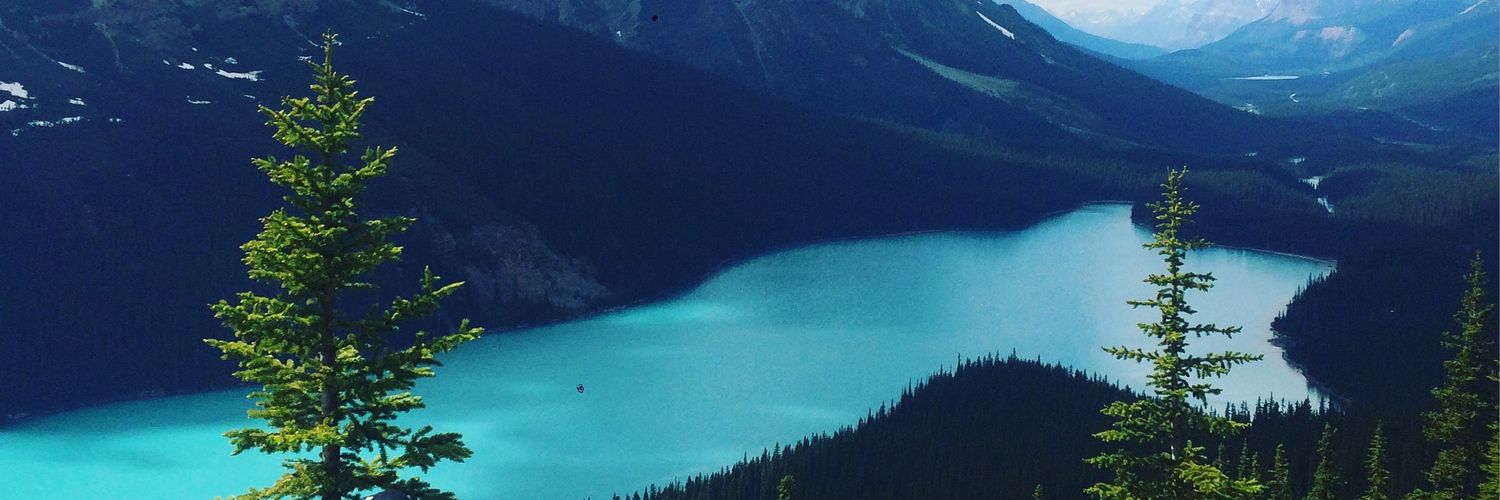 dloweee's profile banner image
