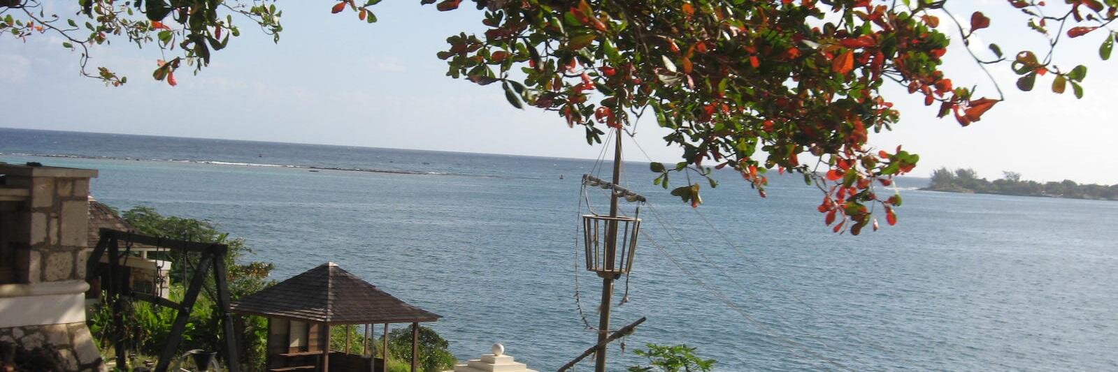 Nancy Franceschini banner