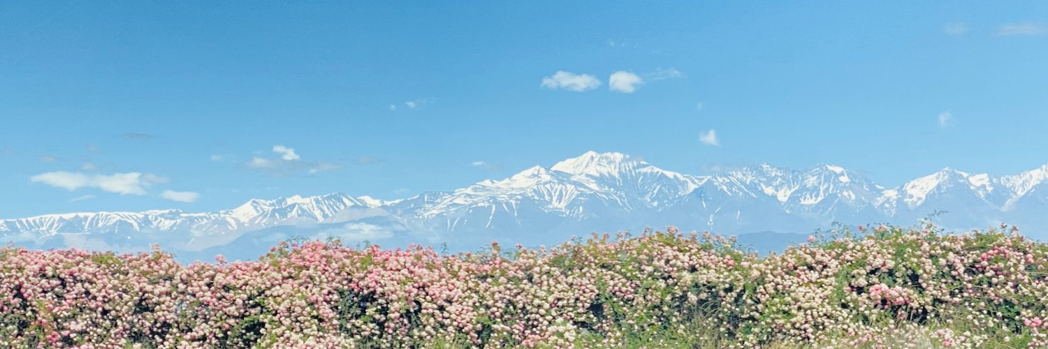 Liza_fern's profile banner image