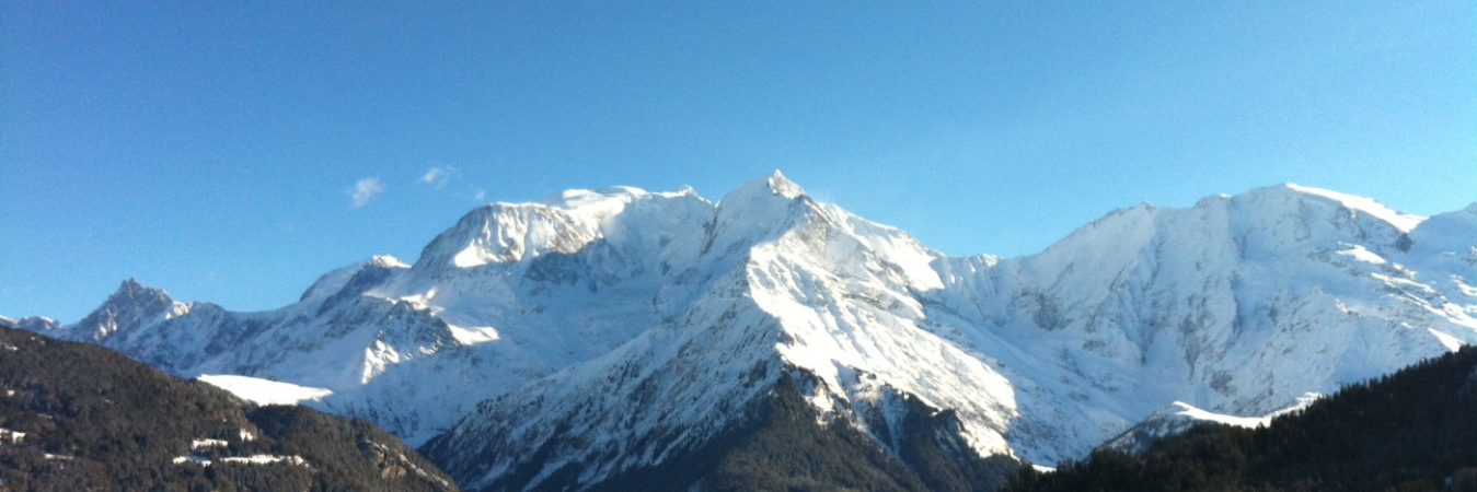 Frederic Labrunye banner