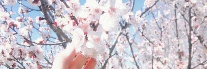 cassandra_yang's profile banner image