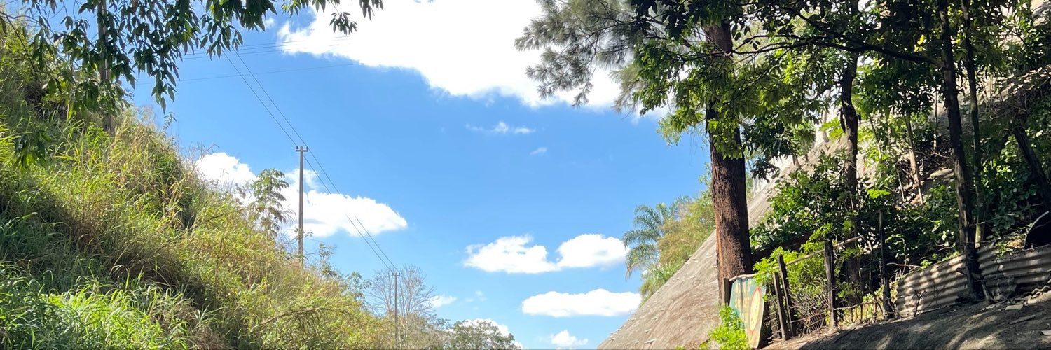 beatristinha's profile banner image