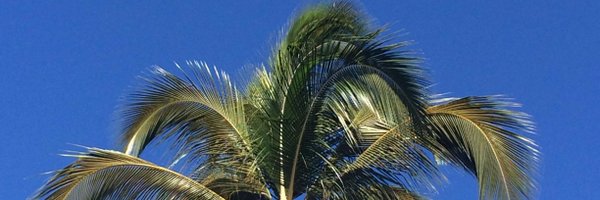 MNRPH Profile Banner