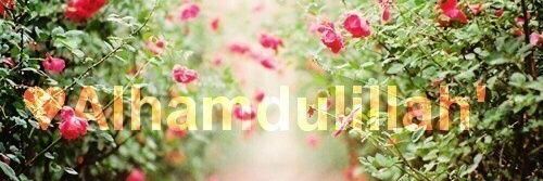 gulim19975's profile banner image