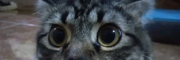 ElmoCece's profile banner image
