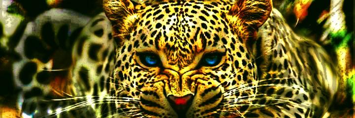 OneGlobalTribe's profile banner image