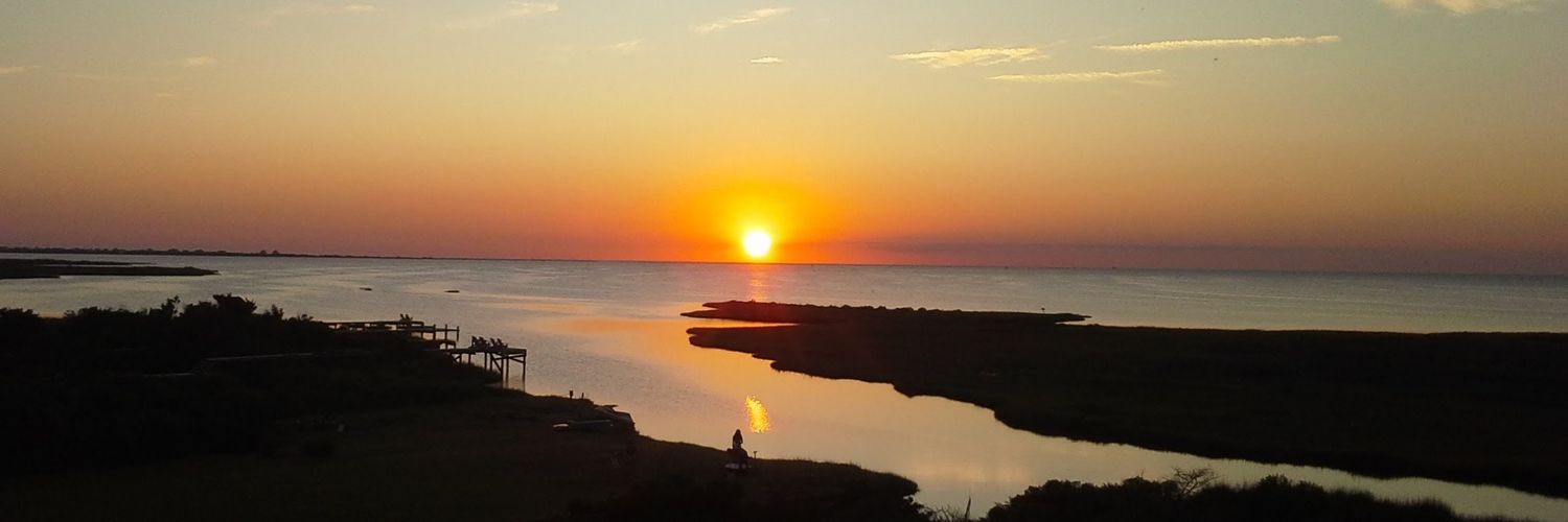 Gary Hardwick banner