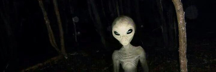 alihanasd's profile banner image