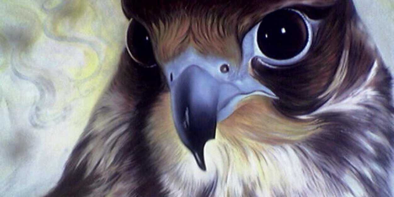 mam51112's profile banner image