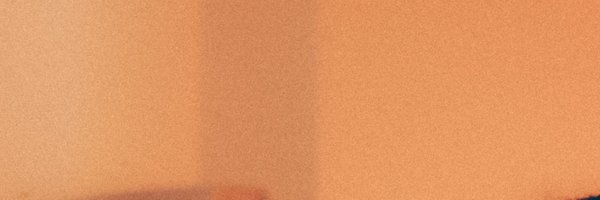 leihopeee Profile Banner