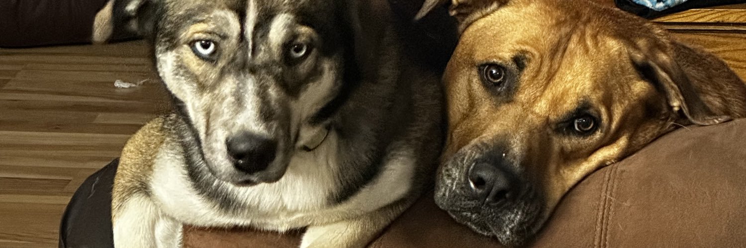 channyleigh2's profile banner image