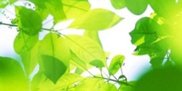 teraview5754's profile banner image