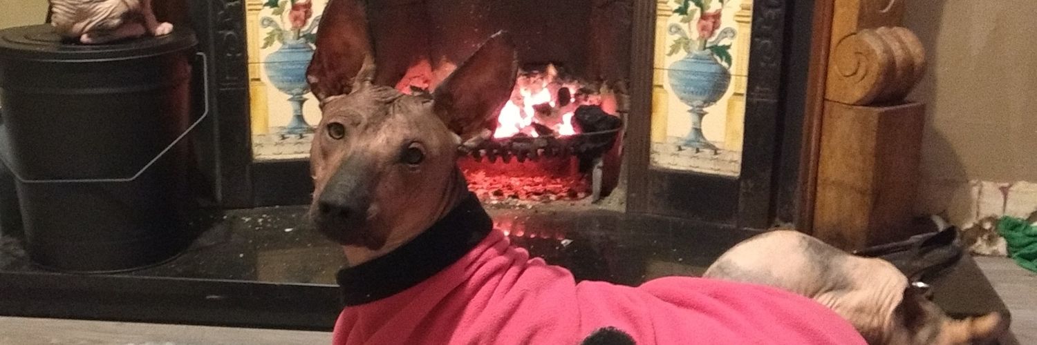 MrCrunchiebar's profile banner image