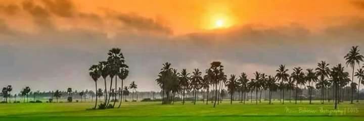 Sonal_kushwaha9's profile banner image