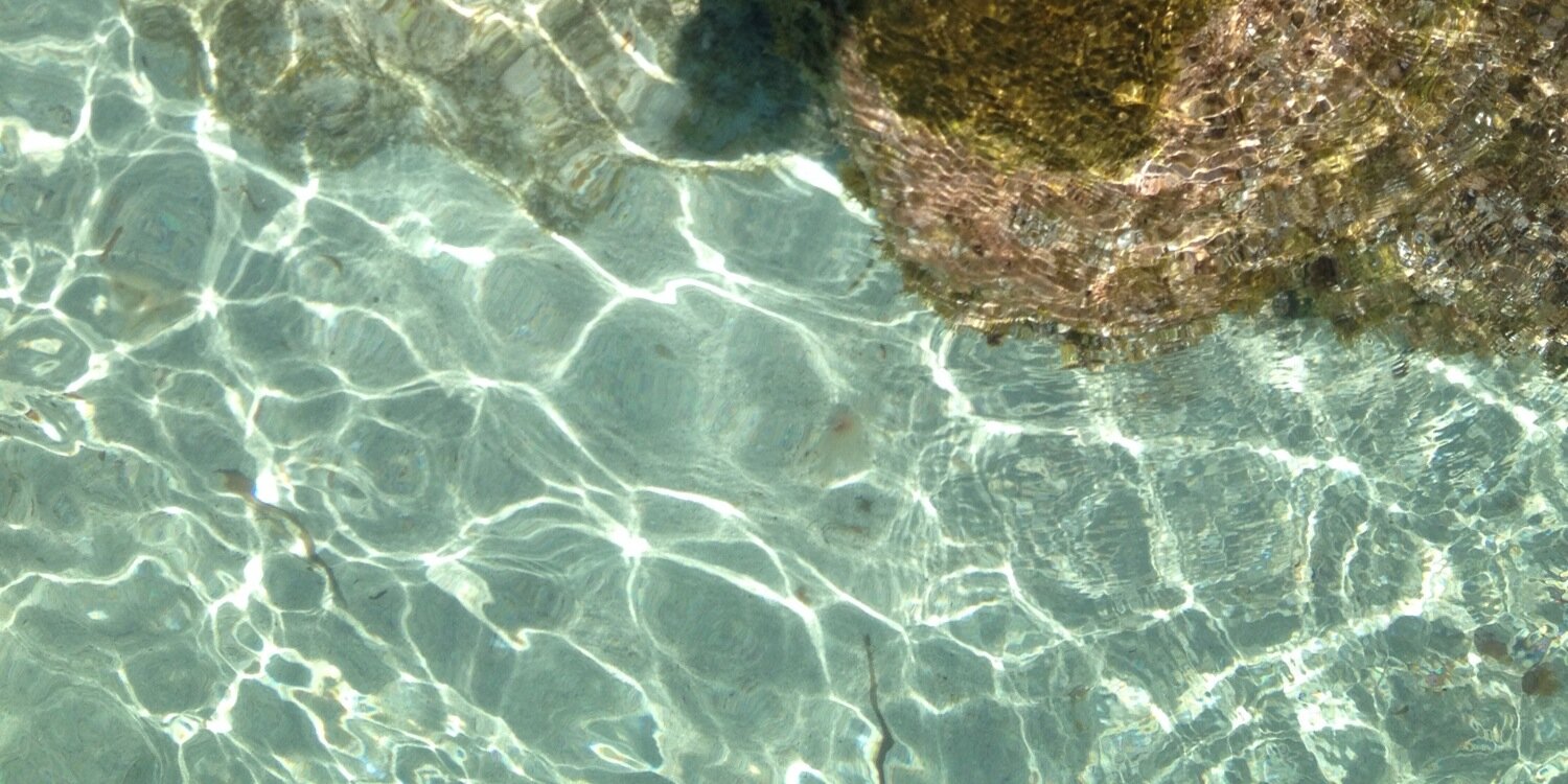luis_terrasa's profile banner image