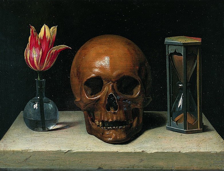 dcarnes's profile banner image
