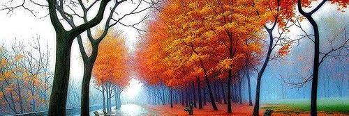 Samer_aad's profile banner image