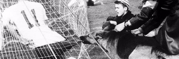 Mateusz Skwierawski banner