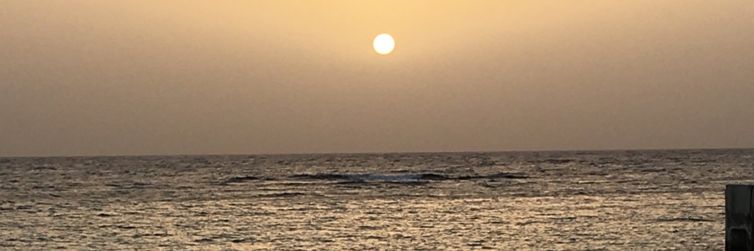 ناديه الزهراني banner