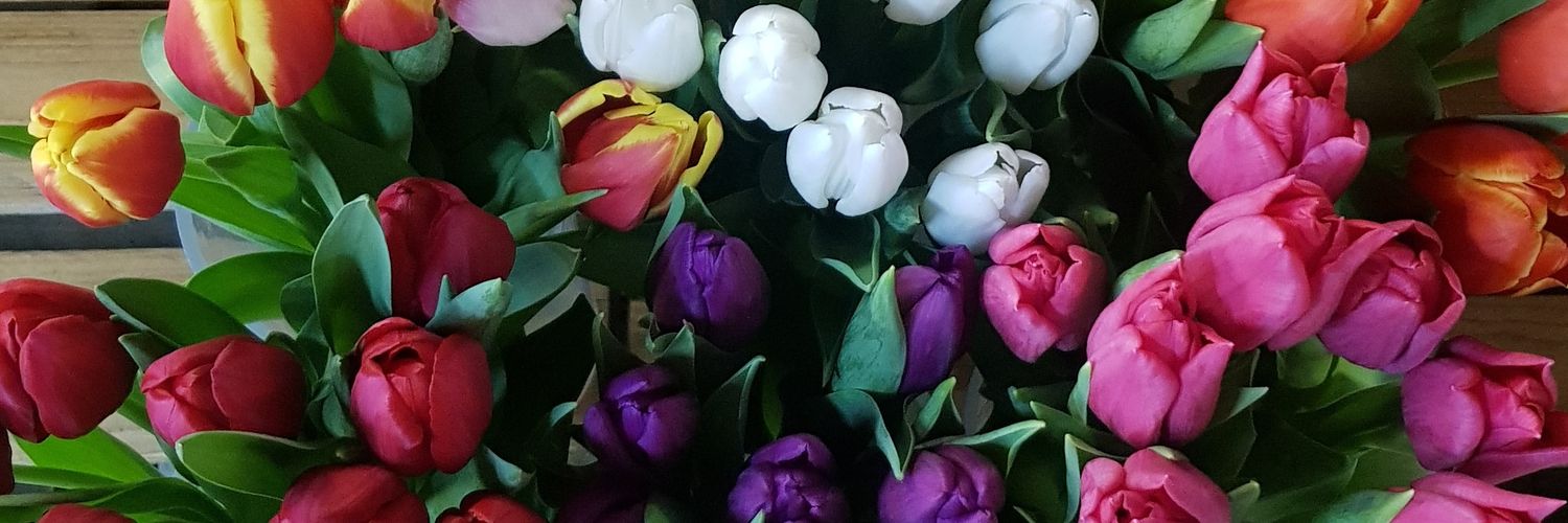 Collison cut flowers banner