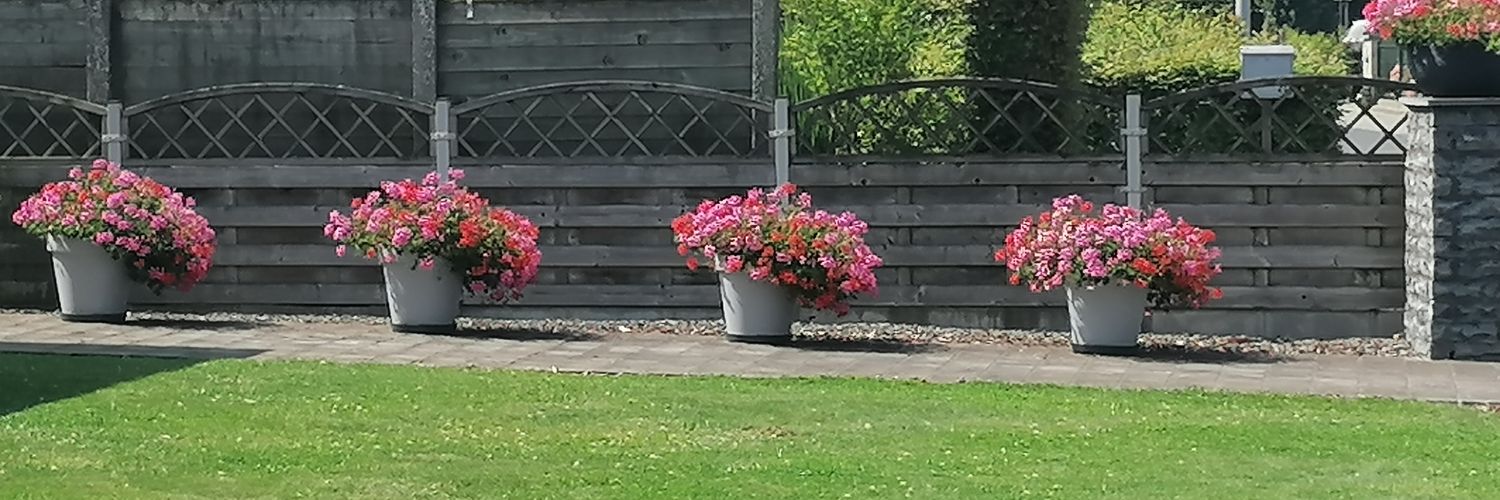 SchoonbaertAnn's profile banner image