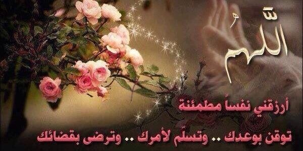 seif14111's profile banner image