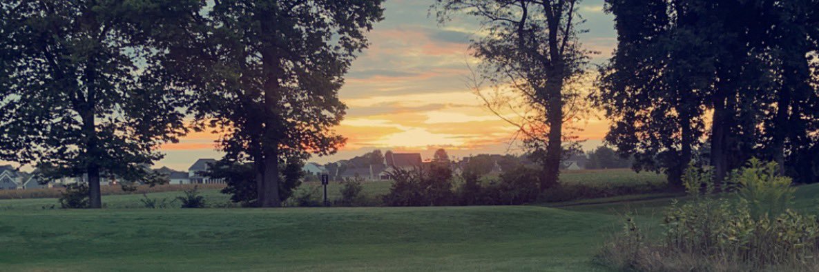 tfirestone6's profile banner image