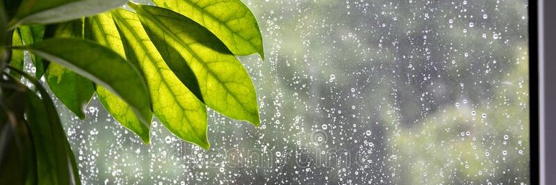 VeggieNazi's profile banner image