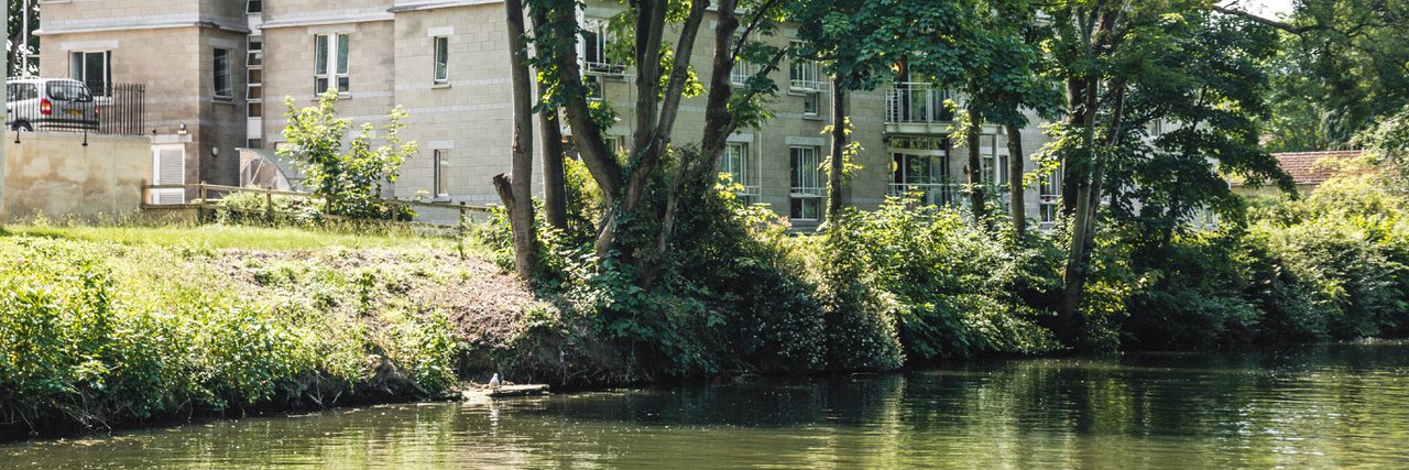 BCBridgemead's profile banner image