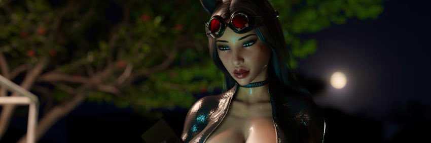 Catwoman banner