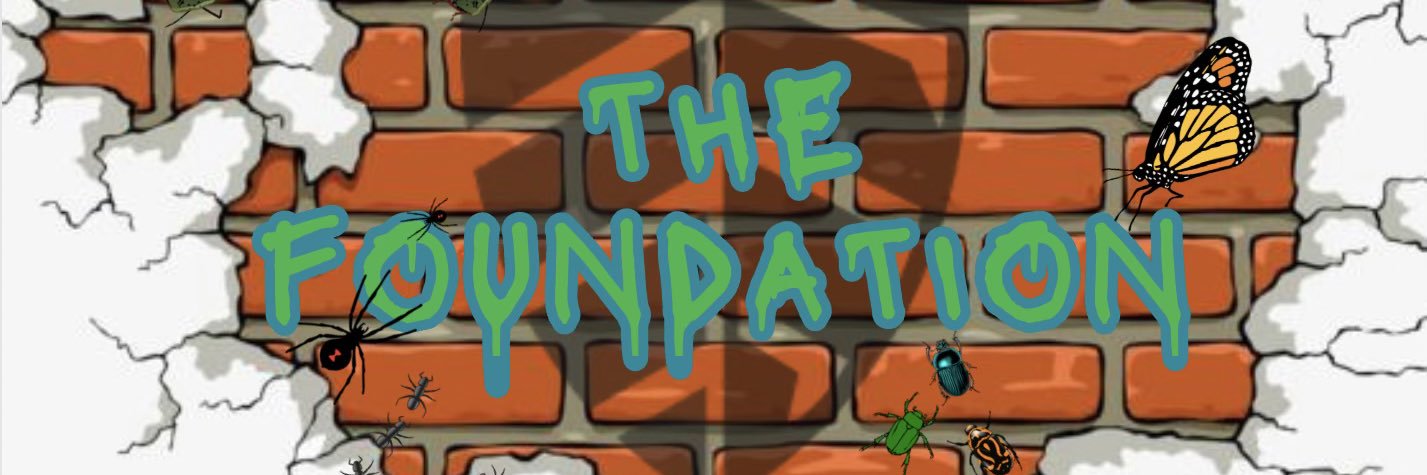 _mynamefiddla's profile banner image