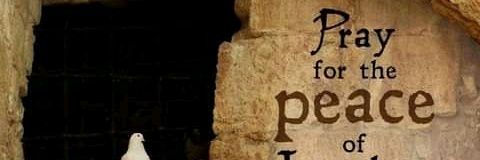 yilpepe2's profile banner image