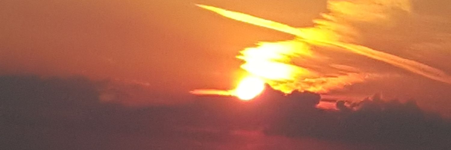 lpetty8's profile banner image