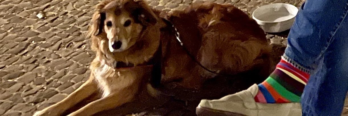grumpy_dude_63's profile banner image